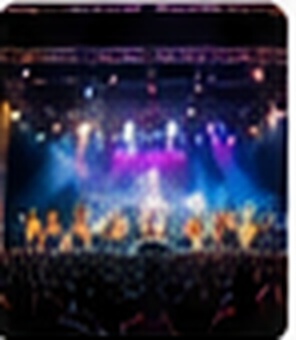 Ambon Jazz Plus