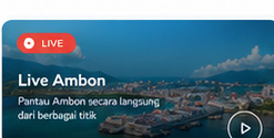 Ambon dari udara