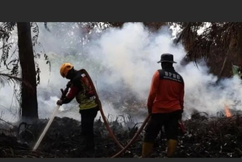 Aice Bersama Masyarakat Serahkan Donasi Rp101,5 Juta Untuk Korban Bencana Melalui Kitabisa