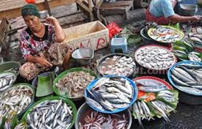 harga-ikan-di-ambon